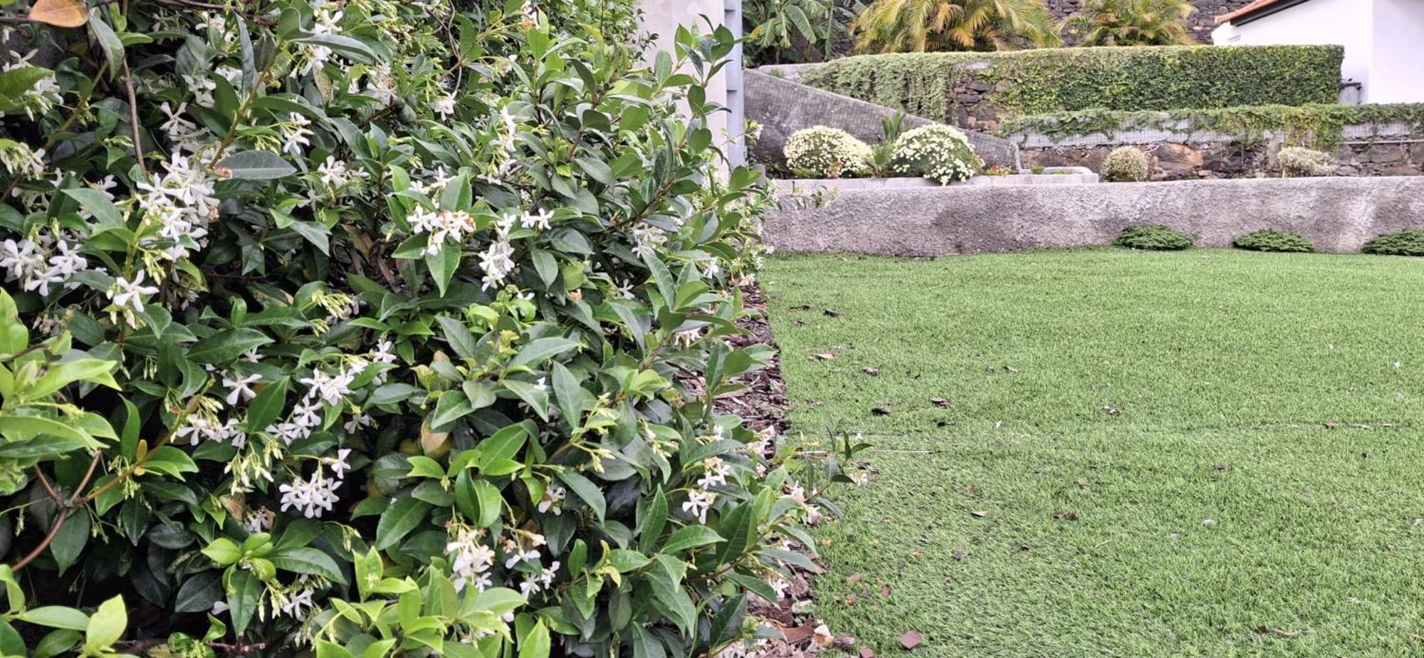 Moradia Stephanie Funchal  Exterior photo